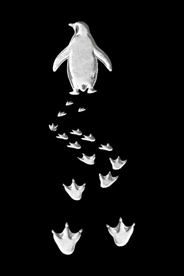Erkek Nihilist Penguen Baskılı 3 İplik Pamuklu Kapüşonlu Sweatshirt Hoodie Siyah