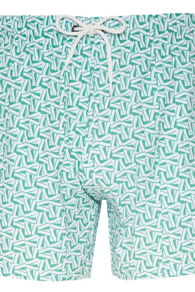 ERKEK DENİZ ŞORTU 1515045 DESEN1 - L