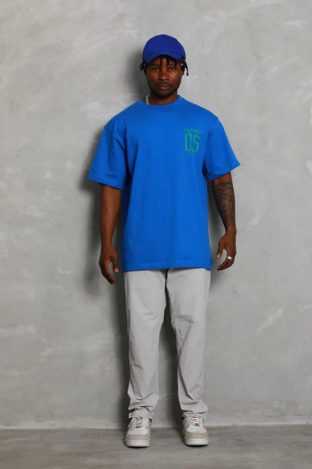 Erkek Baskılı T-Shirt Kısa Kol Bisiklet Yaka Regular Fit Tişört - Saks Mavisi